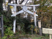 ���܂�����̂قƂƂ������̓��e�ʐ^1