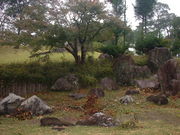 Ԃ񂳂̖@؛Ԍ{뉀̓eʐ^1