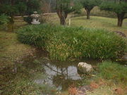 Ԃ񂳂̖@؛Ԍ{뉀̓eʐ^3