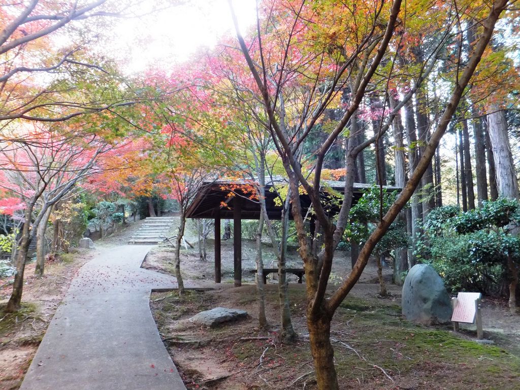 ふるさと芭蕉の森