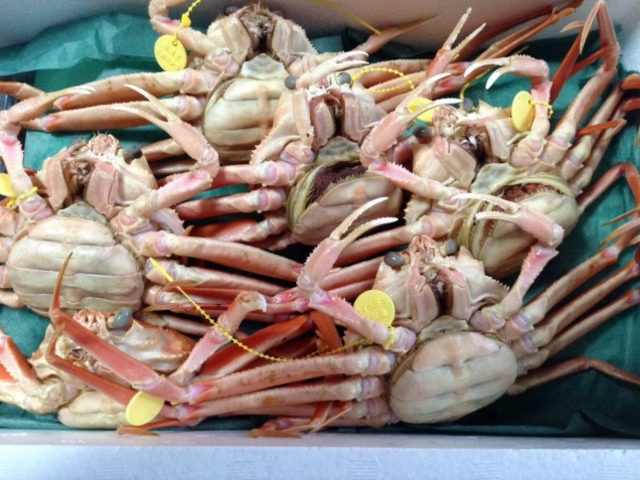 ���F�^�O���������I_��܂ɐ��Y