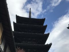 ܂̖@ώi̓jւ̓eʐ^1