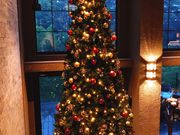 fBrewery & Restaurant Carvaan̓eʐ^1