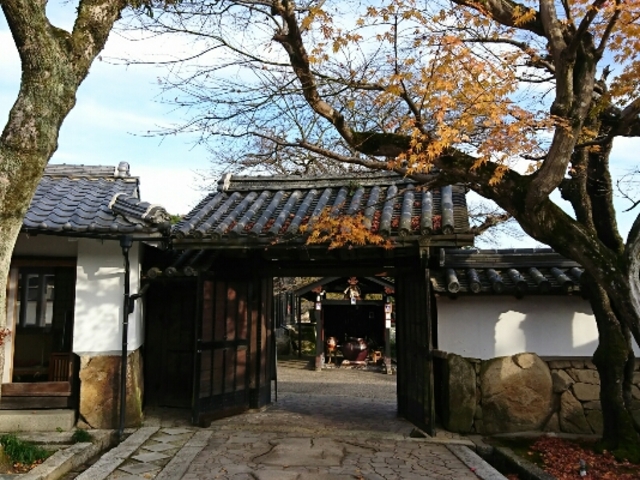 �����̂悤�Ȃ������܂�_���m�R���� �{�V�̓�