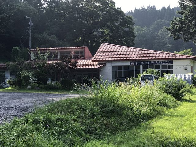 SHIN̂̂œ@Xњq̓eʐ^1