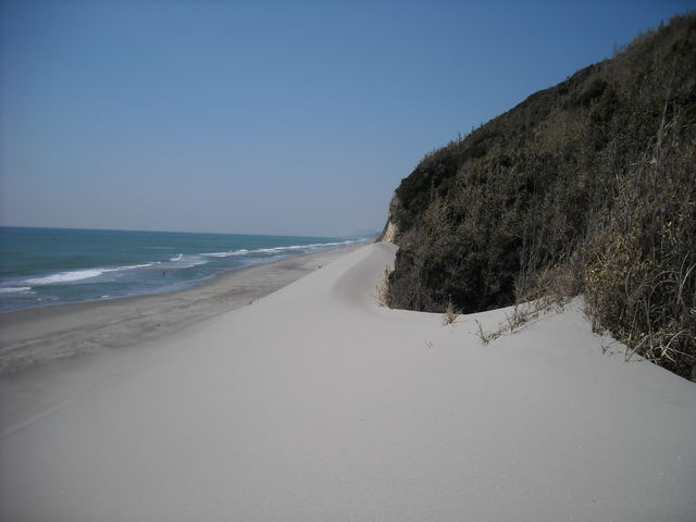 Ћg̍LC݁EɌÕC݂̓eʐ^2