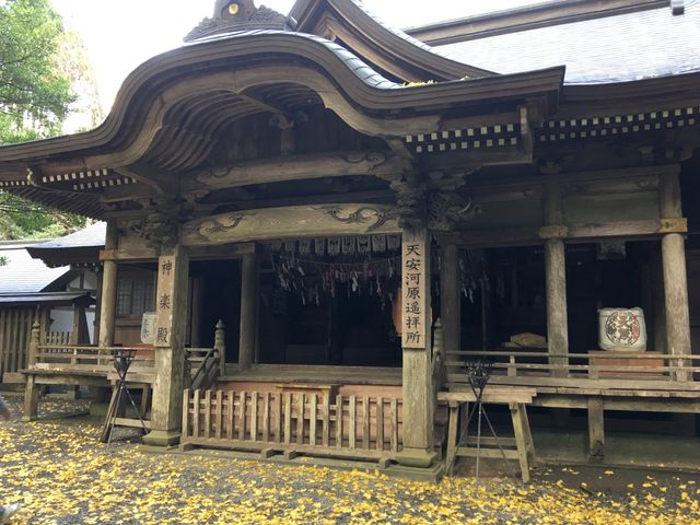 ��ǂ̗��t���Y��_�V��ː_��