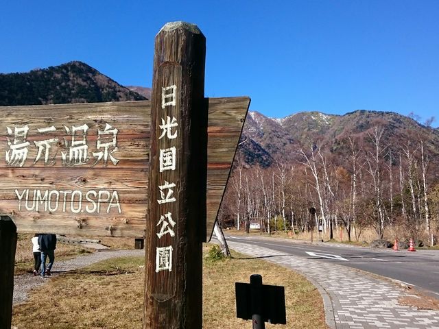 ��������̓����_��������������