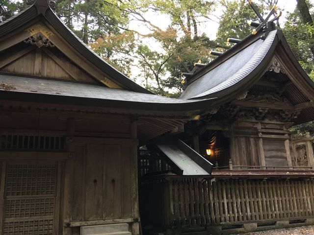 ��������p�`���B_�����ӂ�_��