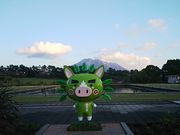 �܂낿��񂳂�̋g������̓��e�ʐ^1