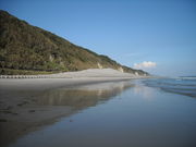 Ћg̍LC݁EɌÕC݂̓eʐ^1