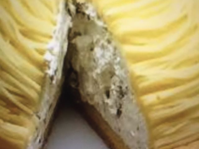 ̂̂肳̃n[uX ≮ÉX̓eʐ^1