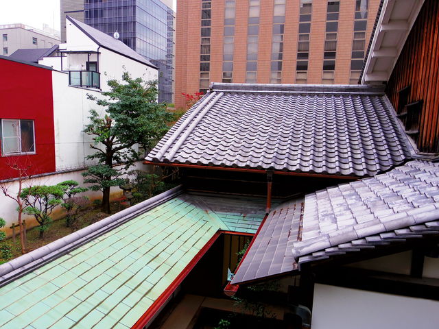 �K�m����̒��]_�K�m