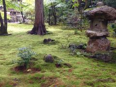 poporon̑匴ւ̓eʐ^1