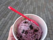 ₳̃T[eBACXN[CI[tXi31 Baskin-Robbinsj̓eʐ^1