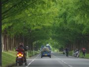 AX̃}LmsbNh@Z^[nEX̓eʐ^1