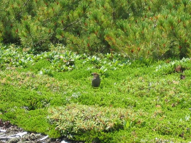 �M���U���}�V�R_���x���R�T���H