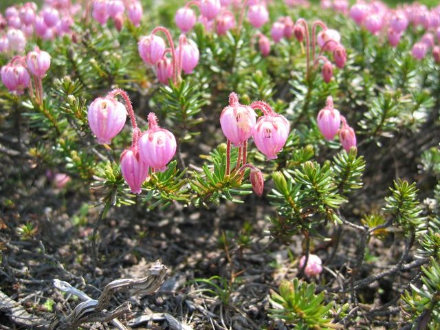 �G�]�m�c�K�U�N��_���x���R�T���H