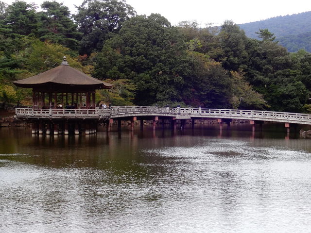 ������_������