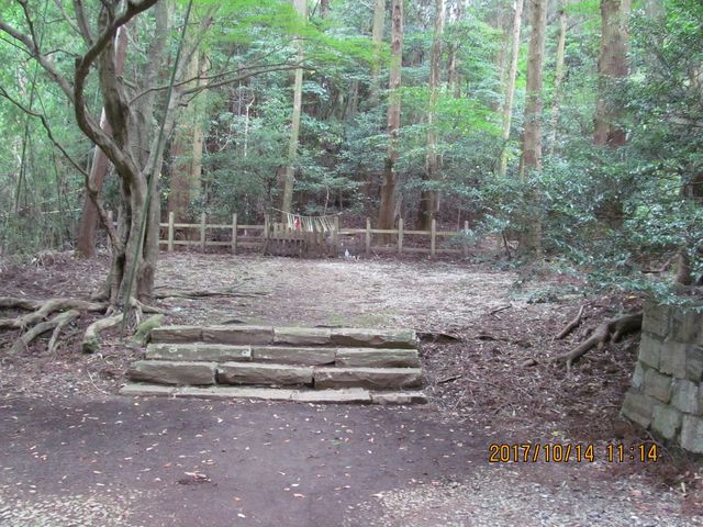 �l�c�q��_�����ӂ�_��