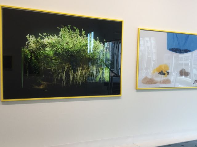 �A�[�g�C�x���g�X�y�[�X_�X�p�C�����r��