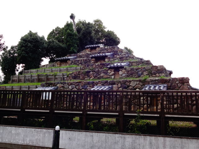 ����_����