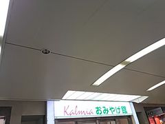 �����݂���̃J���~�A�ւ̓��e�ʐ^1