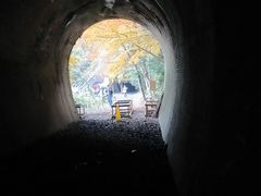 さっちゃんさんの愛岐トンネル群の投稿写真4