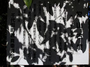 񂿂񂳂̓RÕ̓eʐ^1