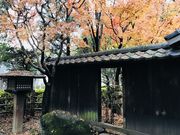 ߂̂̓VƁi]˓Ẳj̓eʐ^3