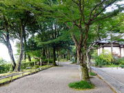 ���ǁ[����̔��|���̓��e�ʐ^3