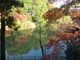 トシローさんの亀山公園（三重県亀山市）の投稿写真1
