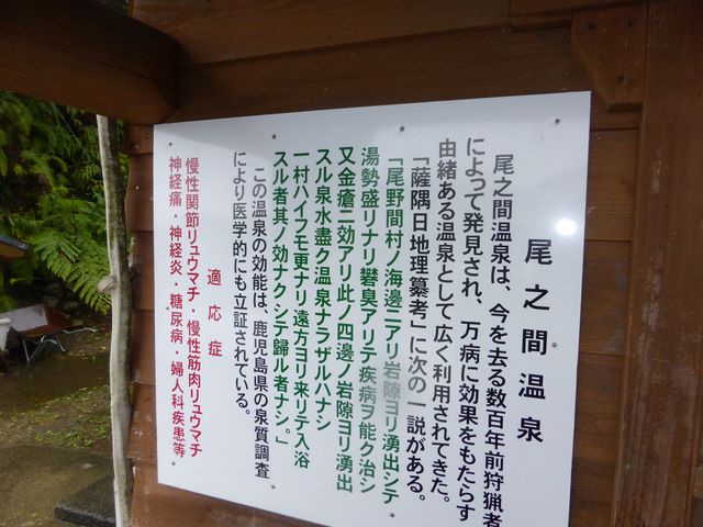 ��������_���V�ԉ���