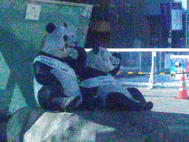 �w���D�ڂ̑O�̃p���_�L��_�i�q��k���w