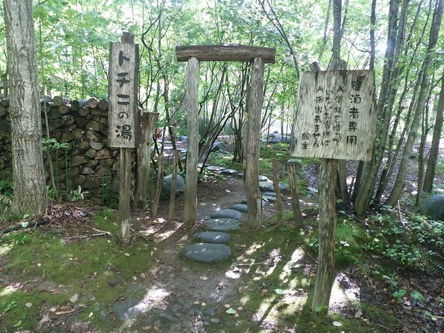 �⍥���g�`�j�̓�_��̓�����