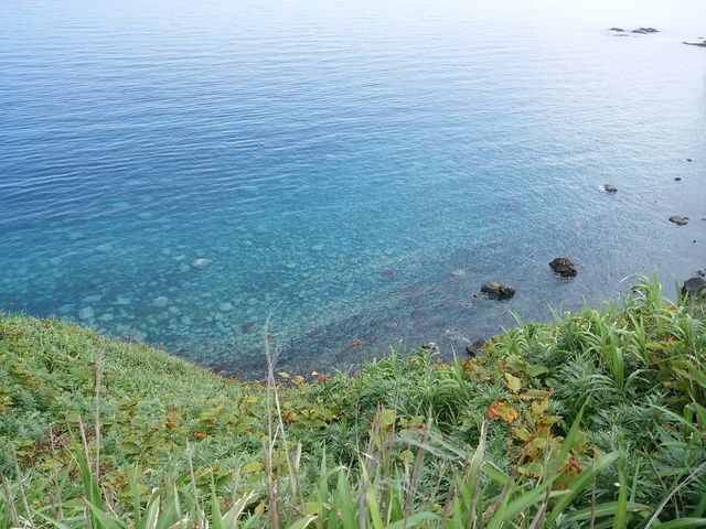 �ϒO�u���[_�_�Ж�