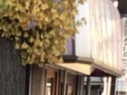 ��₳��̔��̗֎��i�̓��e�ʐ^1