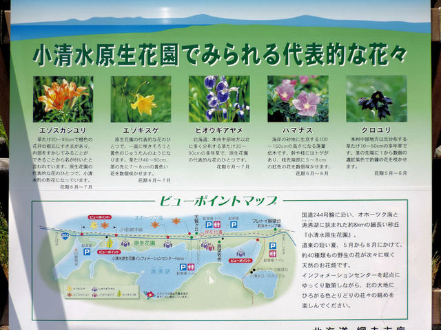 ����ȉԂ��炭�A�����_�����ԉ��q��