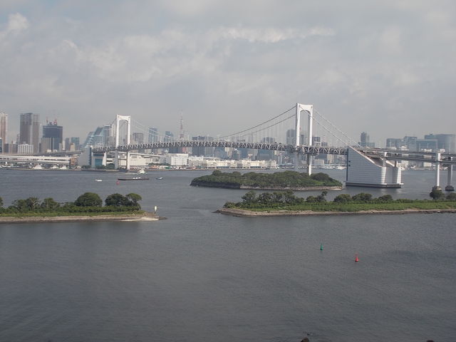 ��������̒���_�q���g�����������