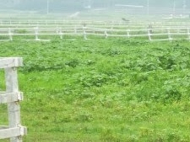 tXs[h̓ӂꂠq̓eʐ^1