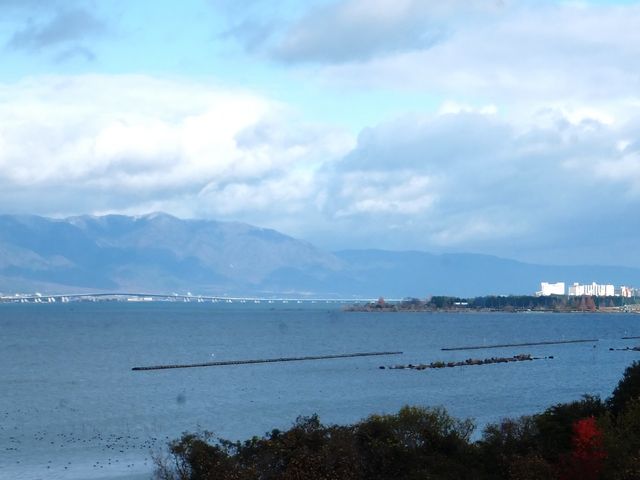 琵琶湖