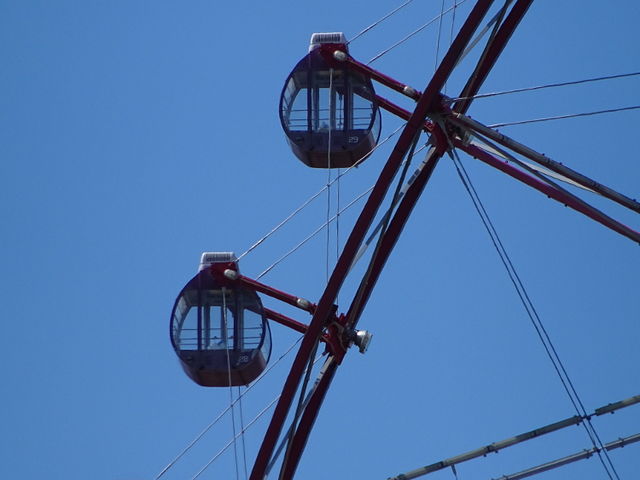 ����Ȃɍׂ��̂ɉ��Ȃ��̂��s�v�c_�_�C���ƉԂ̑�ϗ���