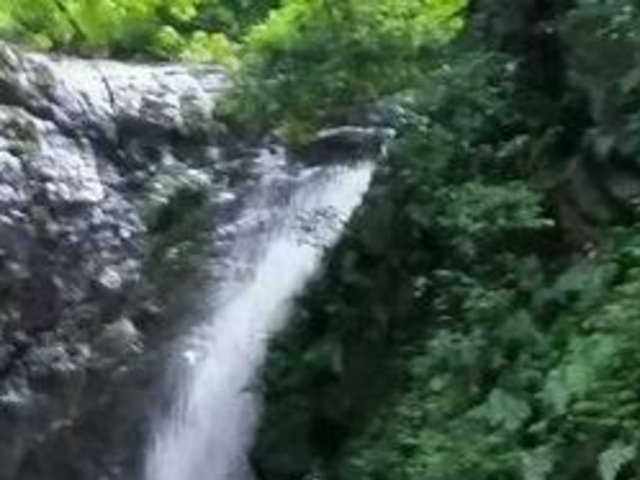 �t���X�s�[�h����̎�j�̑�̓��e�ʐ^1