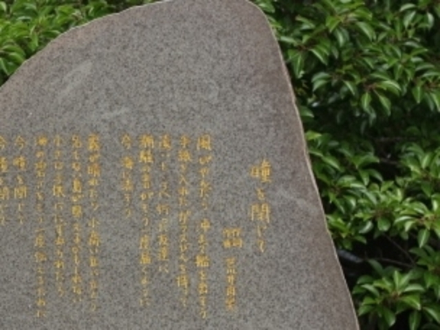 tXs[h̃[~̉̔̓eʐ^1