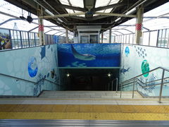 ^񂳂̂iqtՊCwւ̓eʐ^1