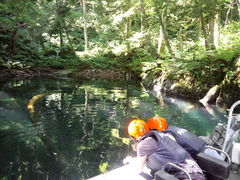 䂣̃BgJ̓]ւ̓eʐ^1