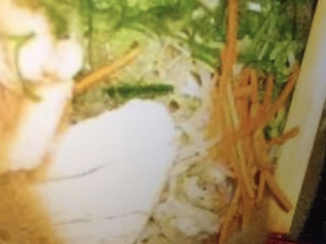 񂯂񂳂̂[߂K̓eʐ^1