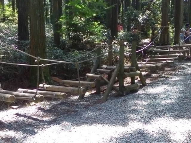 六甲山のアスレチック_六甲山アスレチックパーク GREENIA