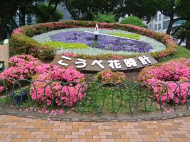 �Ԏ��v_�_�ˉԎ��v