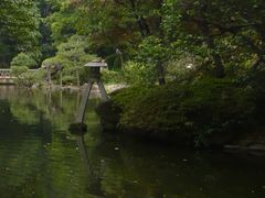 たさんの有栖川宮記念公園の桜の投稿写真1